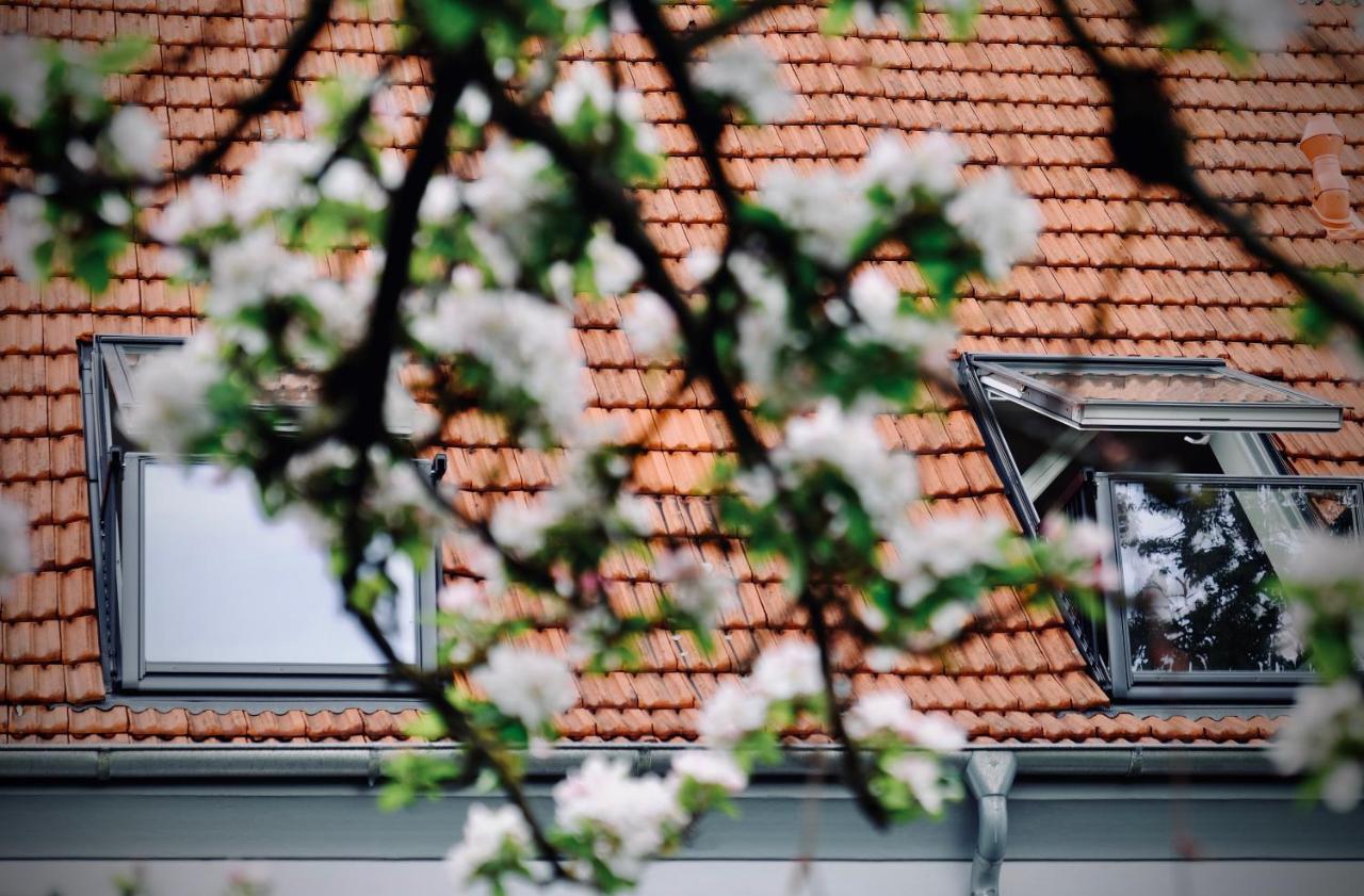Loewenherz Appartements Bad Bentheim Buitenkant foto